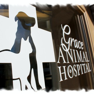 Grace Animal Hospital