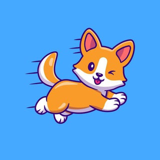 $HINA | HINA INU - ERC20