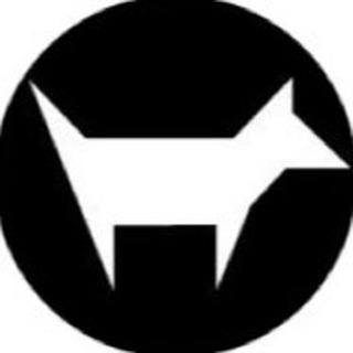 houndsTEETH public updates