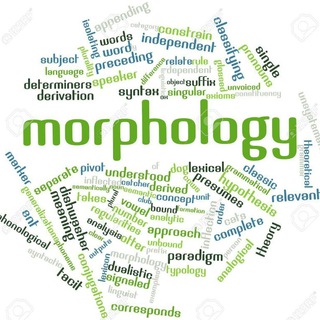 MORPHOLOGY