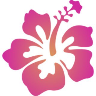ADSL.Cloud Channel | 两元机场