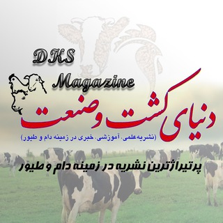 DKS Magazine