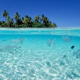 Aruba