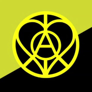 Love Life & Anarchy Videos