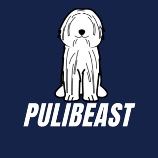 PULIBEAST Official ??? - We're LIVE ON PANCAKESWAP ????????