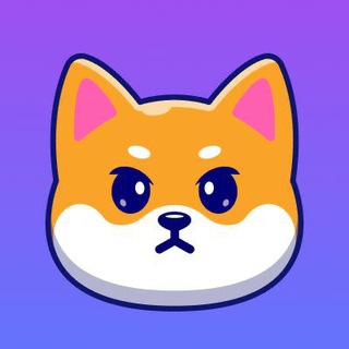 GrumpyShiba