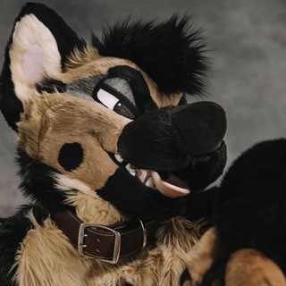 MixedCandy Fursuit Updates