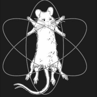 Лабораторна миша