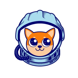 NEWDOGE - Crypto of the Future ?