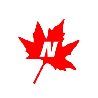 novinleather