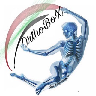 OʀᴛʜᴏBᴏX