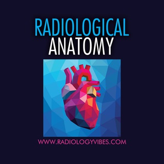 RADIOLOGICAL ANATOMY