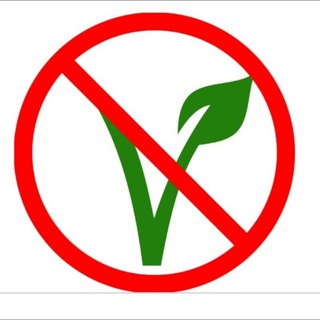 Case Against Veganism - Paul saladino vegan