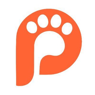 Pawtocol - Official Entry Portal