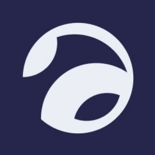 Safe Network