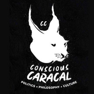 Conscious Caracal
