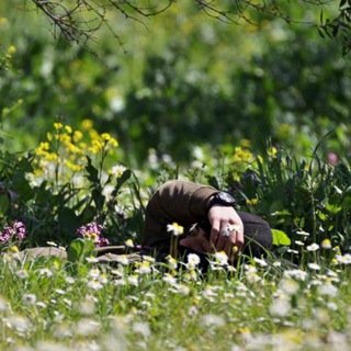 Syria Photos