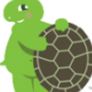 NakedTurtle [https://shoppy.gg/@invader]