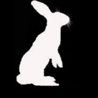 Targeted Individuals