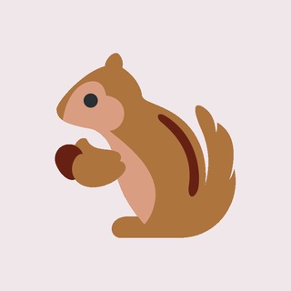 Squirrel Announcements - squirrel finance