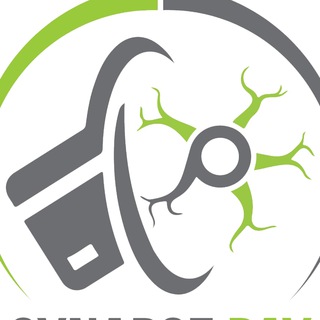 Synapse Pay Channel