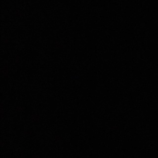 Travladd Crypto ~ Serious Investor Group