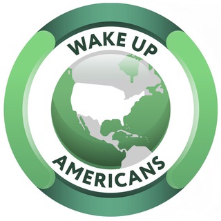 USAReally News