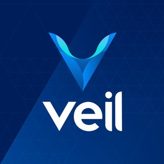 Veil Project