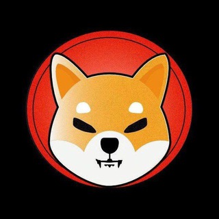 Shiba Inu Vietnam