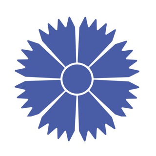 BELAVIA - Belarusian Airlines - Telegram Channel
