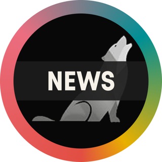 Wolf Global | News & Updates