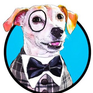 Wooz News Updates