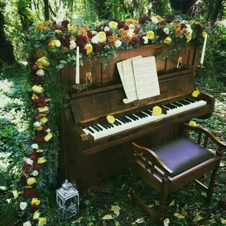 ●Piano Paradise INFO●