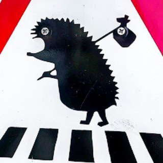 Алексей радченко