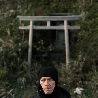 алехин макулатура