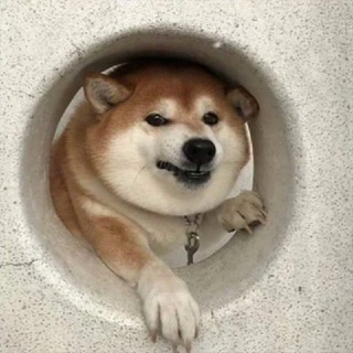 английские мемы