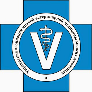 Бигсинема чернобыль