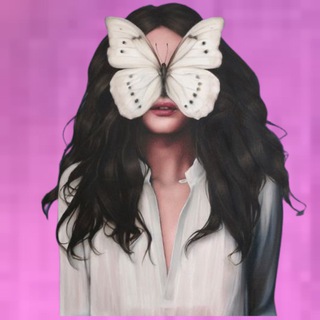 видео макеты для сторис