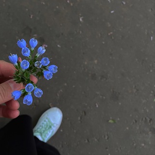 дуа для укрепления любви между супругами