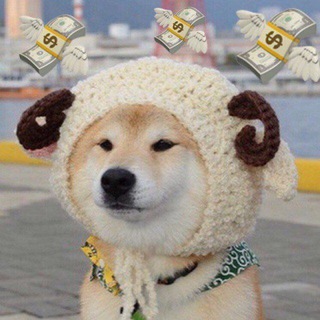 Каляев подарок на день рождения