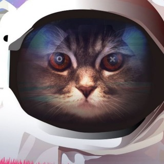 кот шредингера журнал