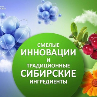 курильский чай сибирское здоровье