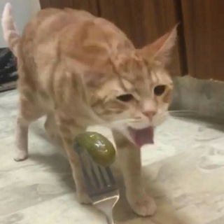 людского во мне дохуя