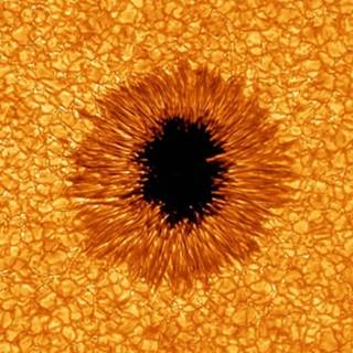 telegram channel alejandra casado logica global convergente