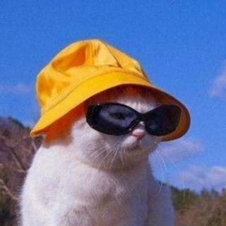 telegram channel aleksey vorobev