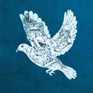 telegram channel ariconnect