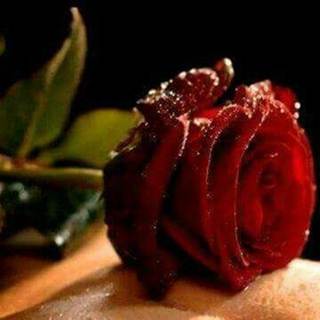 telegram channel bbhhm