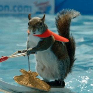 telegram channel beachbroadcasting