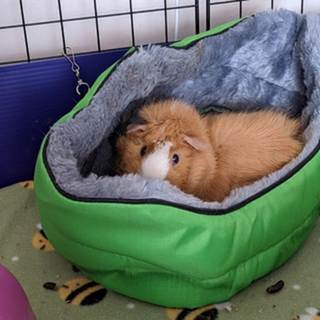 telegram channel boogans