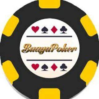 telegram channel buayapoker